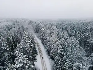 Spruce forest top down birds eye view. Winter landscape from above. Drone shot of snow covered tree