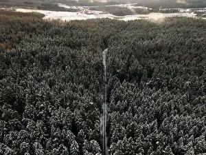 Spruce forest top down birds eye view. Winter landscape from above. Drone shot of snow covered tree