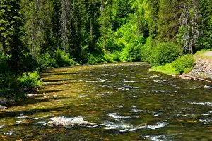 Idaho Prints: St. Joe Wild and Scenic River, St. Joe National Forest, St. Joe River Scenic Byway, Idaho