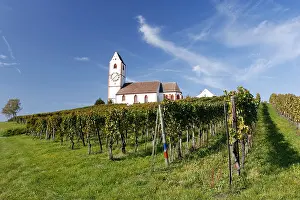 Vines Prints: St Moritz mountain church with vines