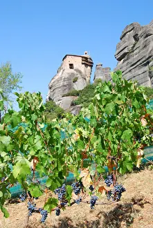 Prefecture Prints: St Nicholas Anapafsas Monastry and grapevines