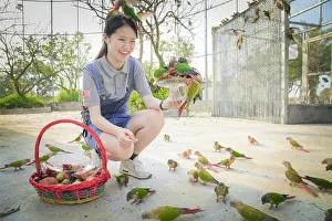 A staff feeds mooncakes to parrots in the Nandan Mountain Forest Animal Kingdom in Foshan city