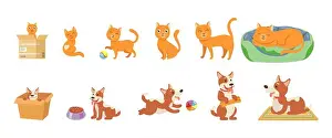 Ageing Prints: Stages of cat and dogs growth cartoon illustration set