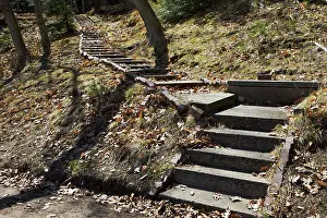 Hell Prints: Stairway to Hell in Lake Forest Cemetery, Grand Haven