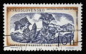 Tatra Prints: Stamp printed in Czechoslovakia shows gentiana clusii flower