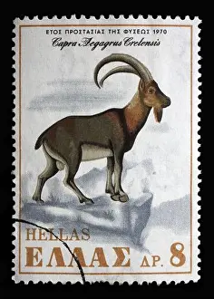 Nature Conservation Prints: Stamp printed in Greece shows Cretan Wild Goat (Capra aegagrus cretensis)