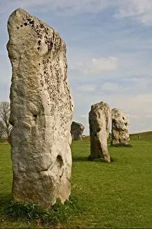 Wiltshire Prints: Standing stones forming part of the neolithic stone circle site at Avebury