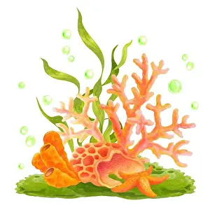 T Shirt Design Prints: Star fish, corals, sea sponge, algae and bubbles on seabed