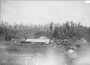 State Sawmill at Kakahi, View of the State Sawmill at Kakahi, circa 1908