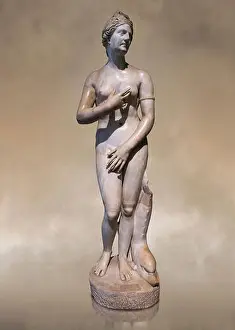 Artefact Prints: Statue of Aphrodite, a 2nd century Roman Copy