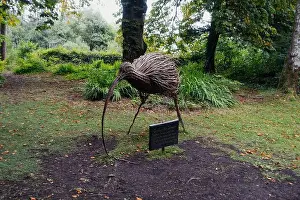 Travel Europe Prints: A statue of a curlew bird at Cong Abbey in Ireland