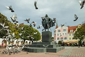 Pigeons Prints: Statue of Jakub Wejher, the founder of Wejherowo, in Wejherowo town square, Poland