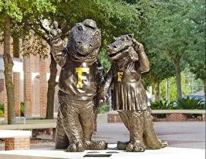 Anthropomorphic Prints: Statues of University of Florida mascots Albert E