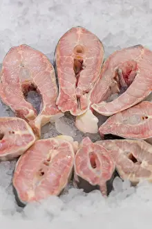 Trout Prints: steaks of sea fish on ice. White snapper steak on ice