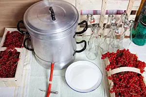 Utensils Prints: Steam juicer, kitchen utensils and ingredients for manufacturing of currant syrup