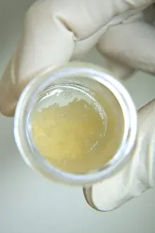 Repairing Prints: Stem cells