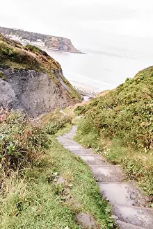 Puddle Prints: Down steps on a walk towards the beach towards Runswick Bay