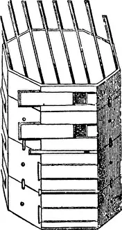 Vector Vectors Prints: Stewarton Hive, a kind of historical bee hive