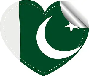 Pakistan Prints: Sticker design for Pakistan flag illustration