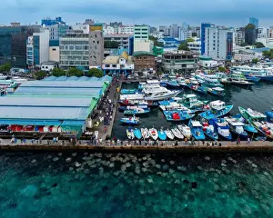 Manta Prints: Stingray watching point in Malé city, maldives islands. Next to the port and fish market