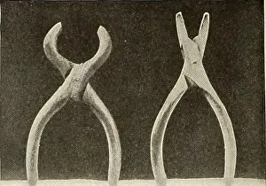 Bookdecade1870 Prints: StNicholas [serial]. INTRICATE LINKED CHAIN