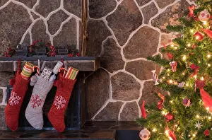 Gifts Prints: Stockings hanging on a fireplace next to a christmas tree on christmas morning