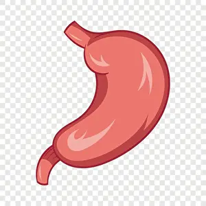 Digestive Prints: Stomach icon, cartoon style
