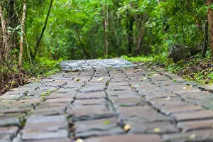 Pebble Prints: Stone pathway passing thru the Waterfall, Thailand