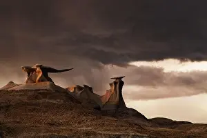 Stone Wings, bizarre rock formations in Bisti Badlands, New Mexico, USA