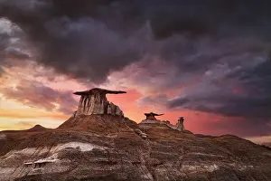 Stone Wings, bizarre rock formations in Bisti Badlands, New Mexico, USA