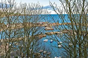 Aberdeenshire Prints: STONEHAVEN ABERDEENSHIRE SCOTLAND THE COWIE HARBOUR SEEN THROUGH TREES IN WINTER