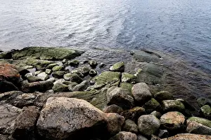 Salt Water Prints: Stones covered with green seaweed in the water. Smooth transparent reflective water