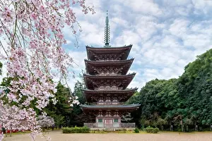 Five Storied Pagoda with Japan cherry blossom in Daigoji Temple in Fushimi Ward, Kyoto City, Japan. Cherry blossom season in Kyoto, Japan