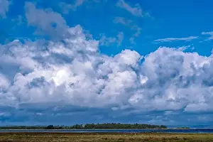 Storm Clouds Prints: Storm clouds hovering the Willapa National Wildlife Refuge at Leadbetter Point State Park