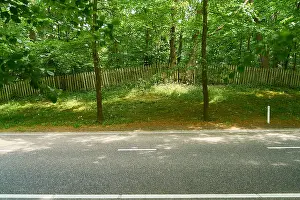Country Road Prints: straight empty country road in front of a wooden fence on hill with trees