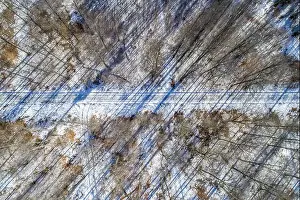 Structured Prints: Straight road through winter forest - Aerial view, Germany