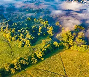 Straight down view from flying drone of small river in the foggy forest