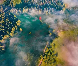 Straight down view of mountain forest with old country road