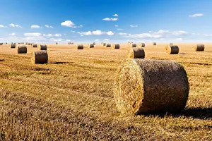 Barley Prints: straw bales on field with blue sky