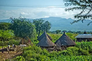 Ethnic Prints: Straw huts in an Ethiopian village