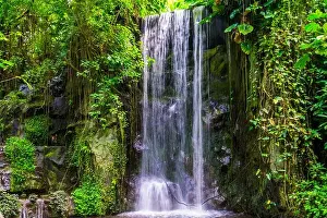 Streaming Prints: streaming waterfall with many plants in a jungle scenery, beautiful nature background