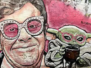 Alleyway Prints: street art/graffiti depicting Sir Elton John