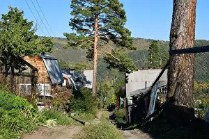 Siberia Prints: Street in a Dacha Village in Siberia, Russia