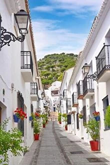 Flowers Collection: Street in the Mijas, White villages, Costa del Sol, Malaga Province, Andalusia, Spain
