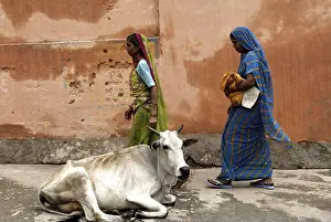Sari Prints: Street scene, Dilwara, Rajasthan, India, Asia