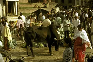 Laid Prints: STREET SCENE KATHMANDU NEPAL