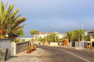 Namibia Prints: A street view of a residential area in Swakopmund Namibia Southern Africa with palm trees near an asphalt road against