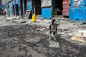 Crimes Prints: The streets of the Bronx are the largest open-air drug market where the buildings look like a war zone