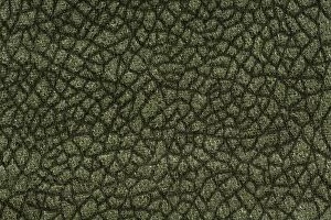 Images Dated 15th February 2018: Strict textile background in dark green tone