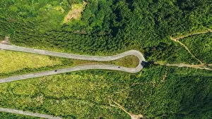 Winding Road Prints: This striking aerial photo captures a meandering road cutting through the vibrant
